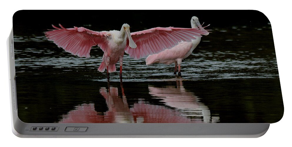 Spoonbill Portable Battery Charger featuring the photograph Roseate Spoonbills by Jim Bennight