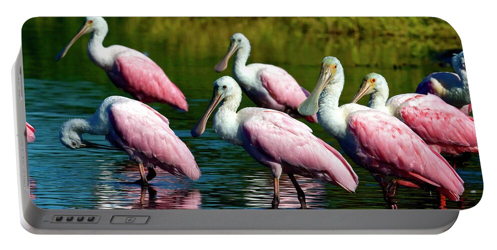 Roseate Spoonbill Birds Portable Battery Charger featuring the photograph Roseate Spoonbills by Sally Weigand
