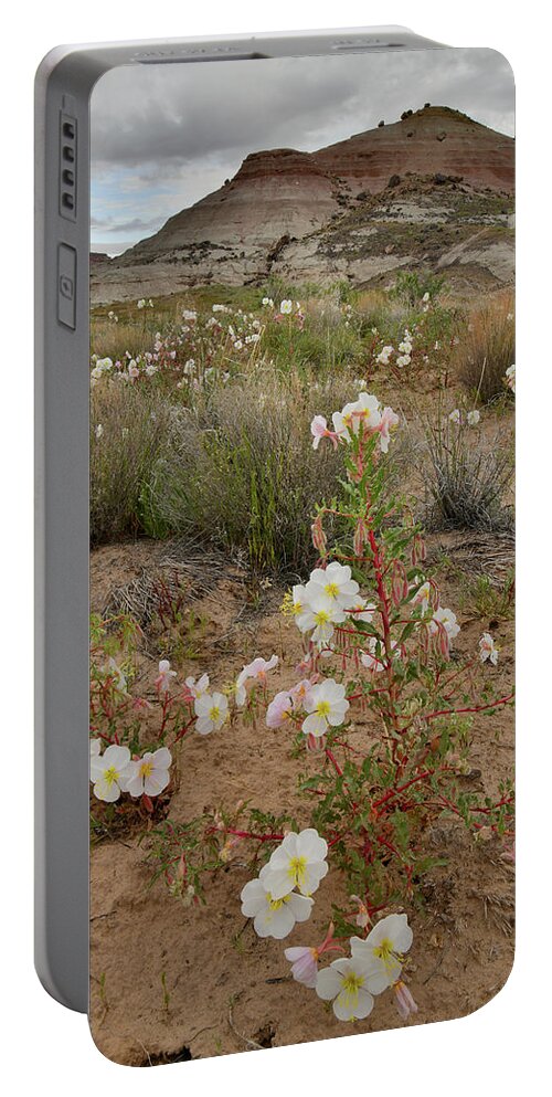 Ruby Mountain Portable Battery Charger featuring the photograph Ruby Mountain Desert Rose by Ray Mathis