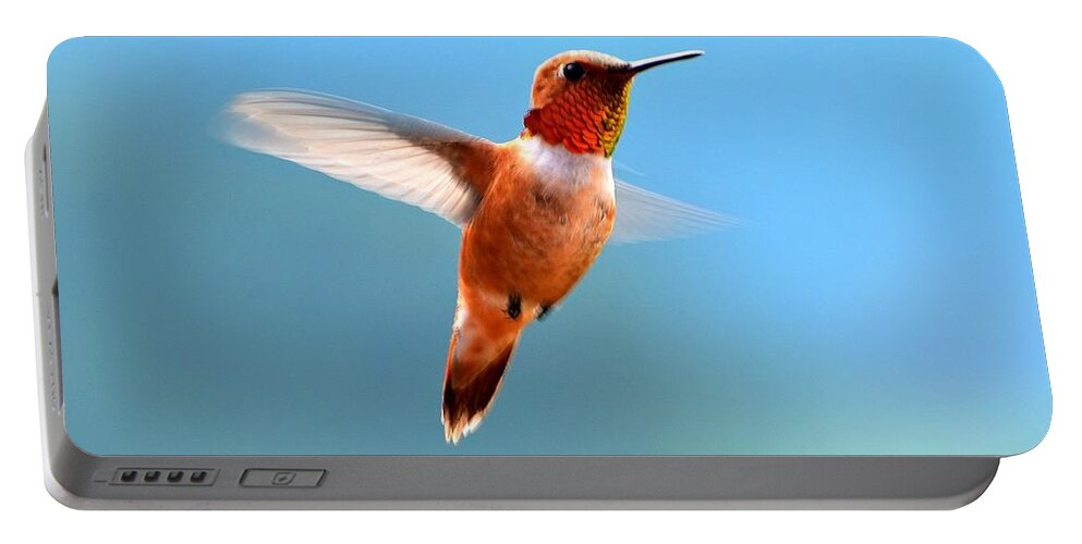 Hummingbird Portable Battery Charger featuring the photograph Rufous in Flight by Dorrene BrownButterfield