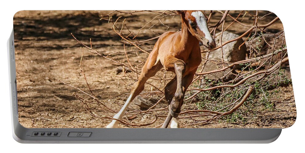 Arizona Portable Battery Charger featuring the photograph Running Young Filly by Dawn Richards