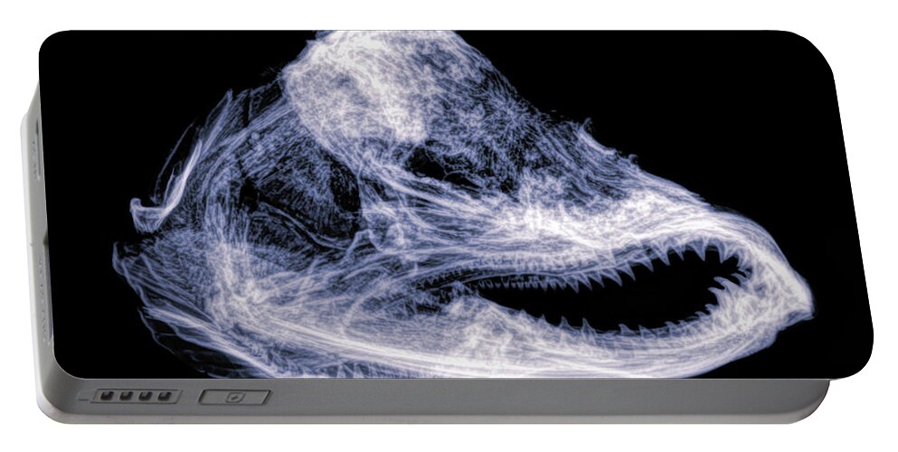 Kansas Portable Battery Charger featuring the photograph Salmon mummy 01 by Rob Graham