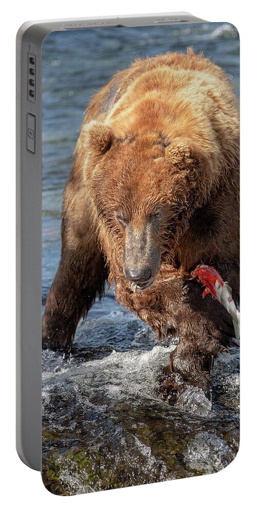 Alaska Portable Battery Charger featuring the photograph Salmon Season in Katmai by Alex Mironyuk