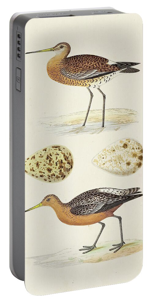 Coastal Portable Battery Charger featuring the painting Sandpipers & Eggs Iv by Morris