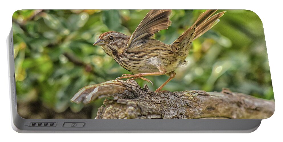 Linda Brody Portable Battery Charger featuring the photograph Savannah Sparrow Wings 1 by Linda Brody
