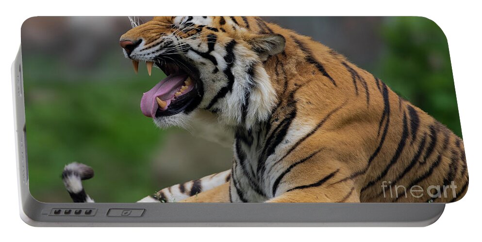 Tiger Portable Battery Charger featuring the photograph Say ahhhhhhh by Sam Rino