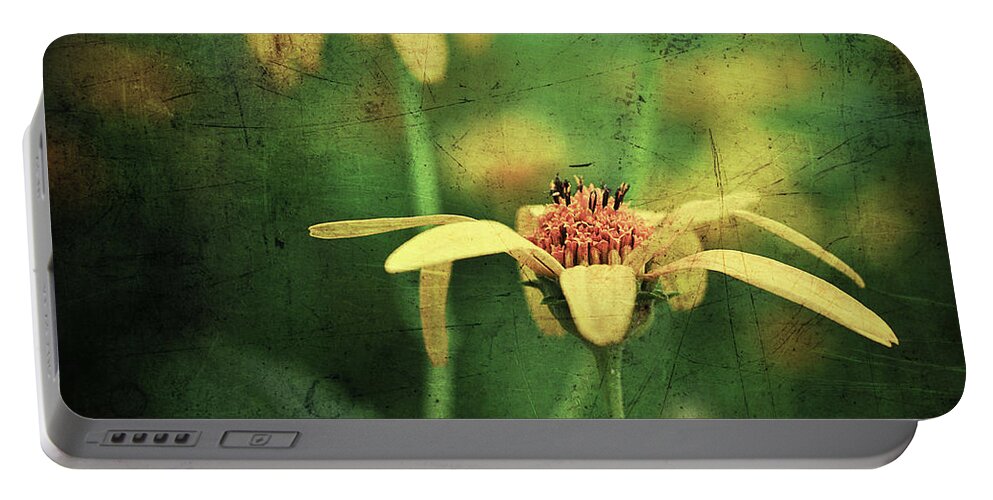 Manipulation Portable Battery Charger featuring the photograph Scratched by Michelle Wermuth