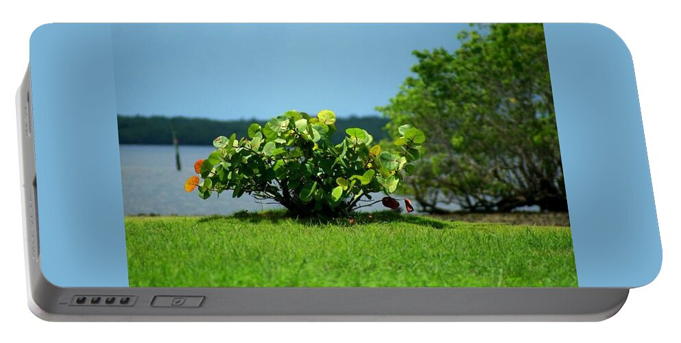 Florida Portable Battery Charger featuring the photograph Sea Grapes by Lindsey Floyd