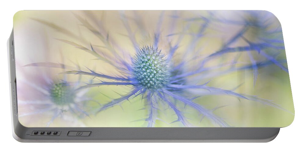 Sea Holly Portable Battery Charger featuring the photograph Sea Holly Dance by Anita Nicholson