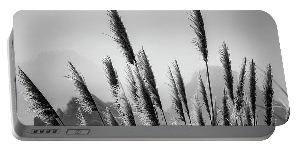Pacific Portable Battery Charger featuring the photograph Sea Oats I BW by David Gordon
