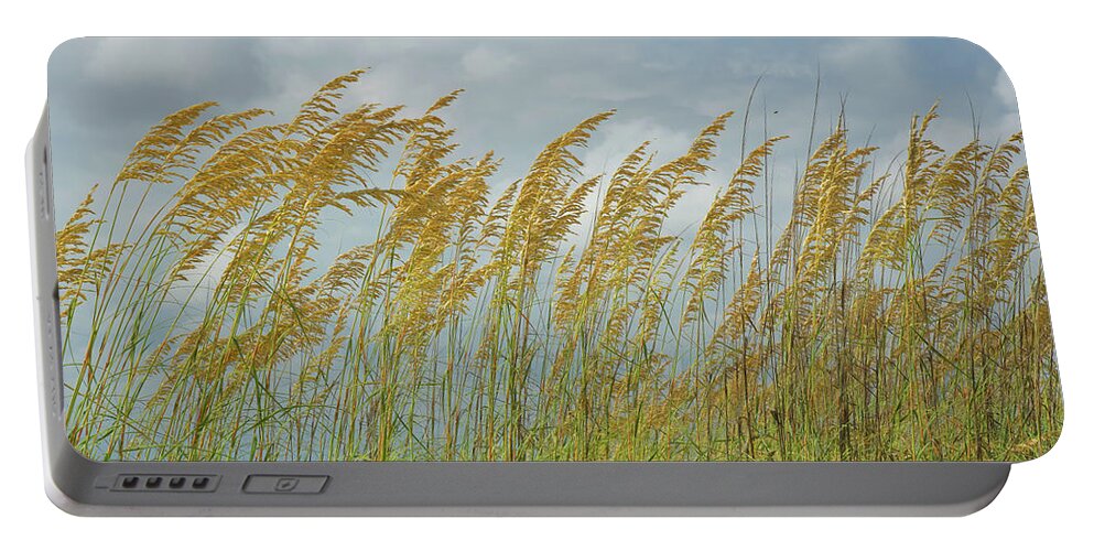 Sea Oats Portable Battery Charger featuring the photograph Sea Oats On A Beach by Dennis Schmidt