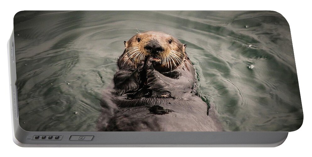 Sea Otter Portable Battery Charger featuring the photograph Sea Otter Monterey Bay II by Veronica Batterson