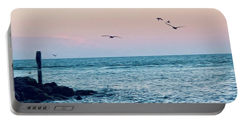 Birds Portable Battery Charger featuring the photograph Seabirds Feeding at Sunset in Captiva Island Florida off the Jetty by Shelly Tschupp