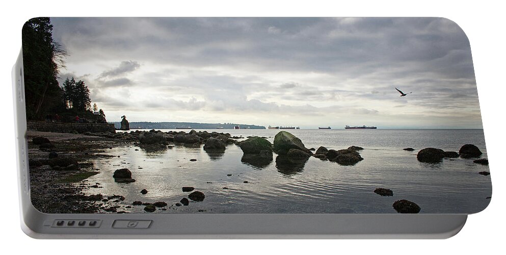 Seascape Portable Battery Charger featuring the photograph Seagull Seascape by Cameron Wood