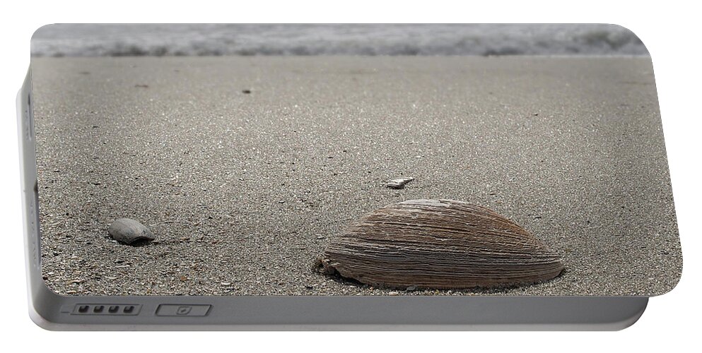 Beach Portable Battery Charger featuring the photograph Seashell by David Palmer