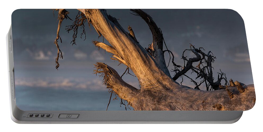 Beaches Portable Battery Charger featuring the photograph Seaside Cove Driftwood by Robert Potts