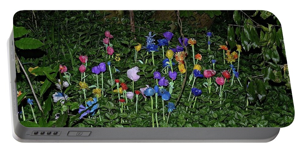 Darkness Portable Battery Charger featuring the photograph Secret garden by Martin Smith