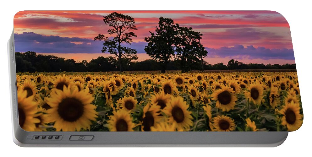Sunflowers Portable Battery Charger featuring the photograph September Dream by Arthur Oleary