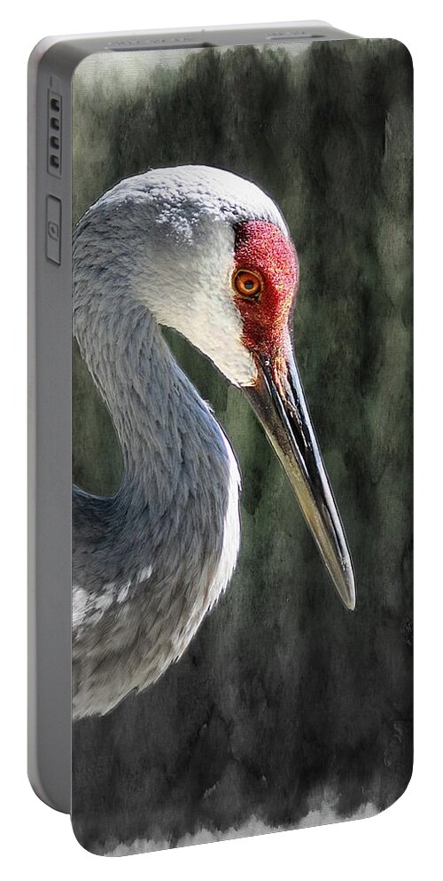 Sandhill Portable Battery Charger featuring the photograph Serene by Stoney Lawrentz