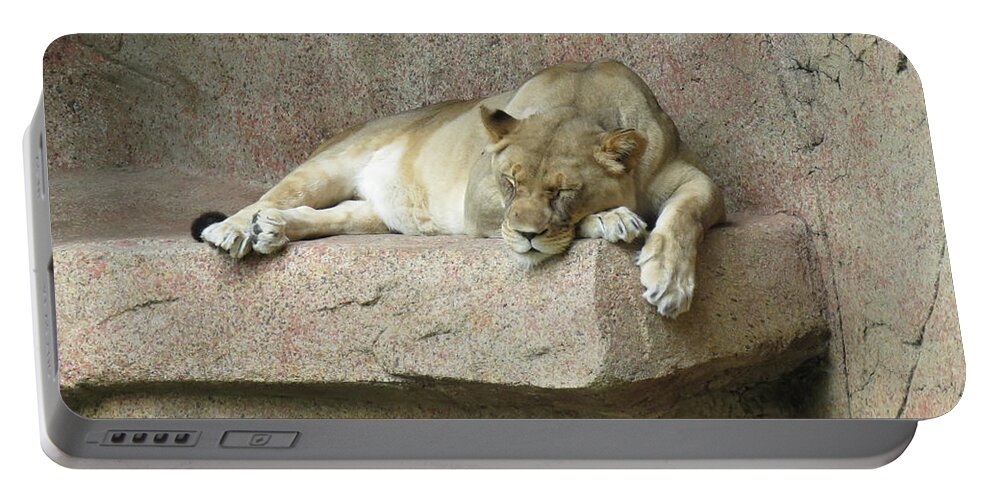 Female Portable Battery Charger featuring the photograph She Lion by Mary Mikawoz