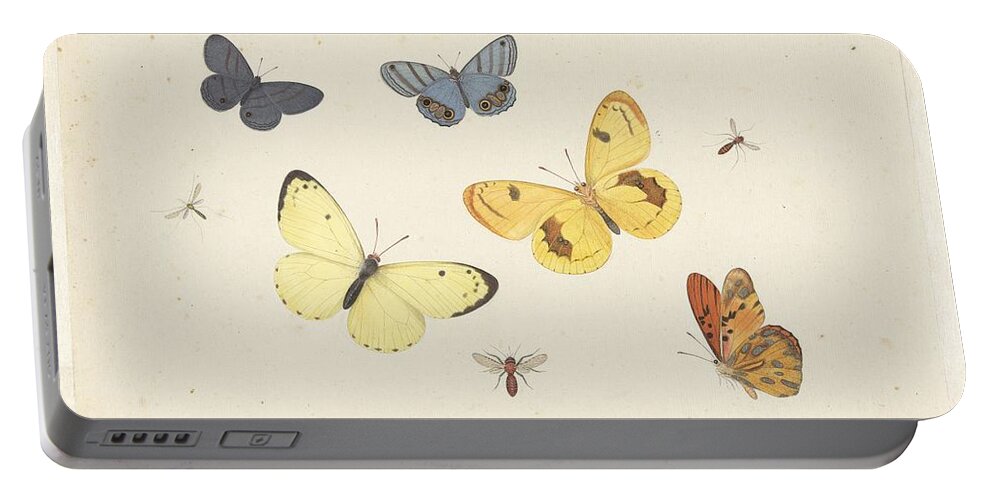Sheet Of Studies With Five Butterflies Portable Battery Charger featuring the painting Sheet of Studies with Five Butterflies by MotionAge Designs