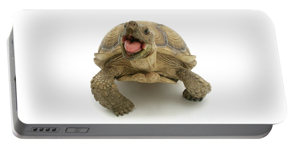 African Giant Tortoise Portable Battery Charger featuring the photograph Shell Shock by Warren Photographic