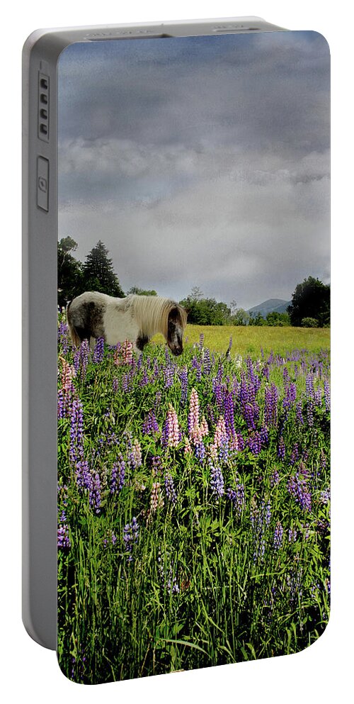 Shetland Portable Battery Charger featuring the photograph Shetland in a Lupine Field by Wayne King