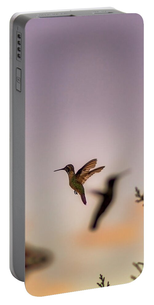 Hummingbird Portable Battery Charger featuring the photograph Shift Change by Peter Hull