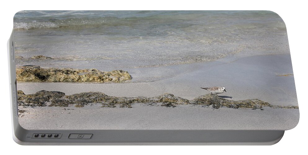 Shorebird Portable Battery Charger featuring the photograph Shorebird by Ruth Kamenev