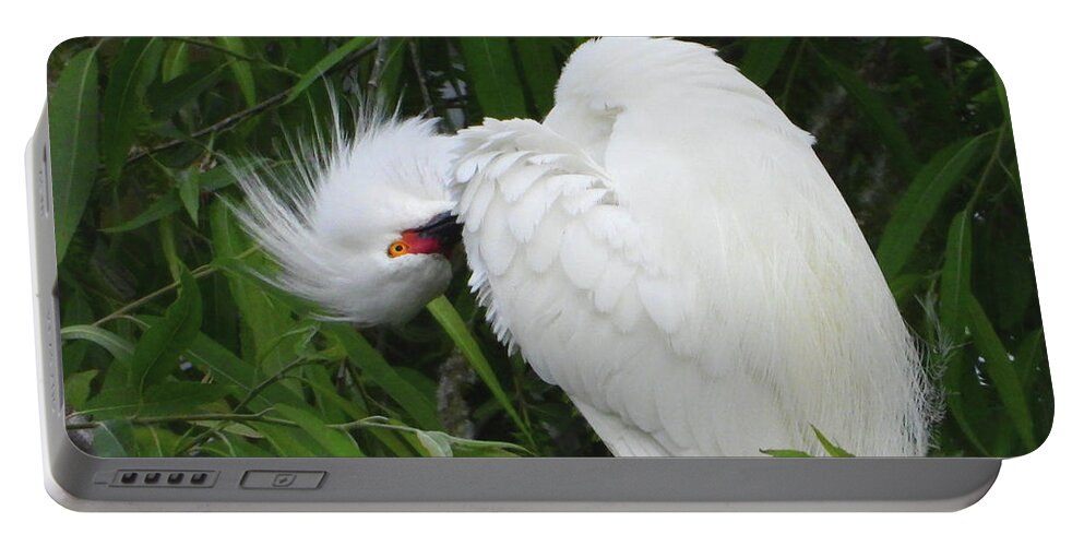 Egret Portable Battery Charger featuring the photograph Shy Egret by Scott Cameron