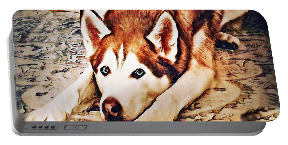 Siberian Portable Battery Charger featuring the photograph Siberian Huskies at Rest A22119 by Mas Art Studio