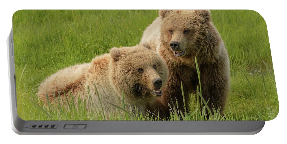 Alaska Portable Battery Charger featuring the photograph Siblings by Chad Dutson