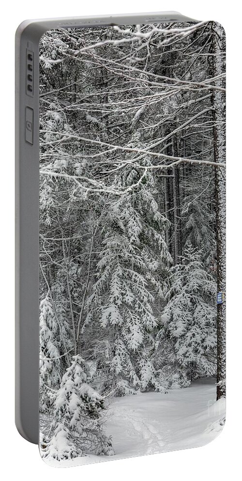 Maine Portable Battery Charger featuring the photograph Silence by Karin Pinkham