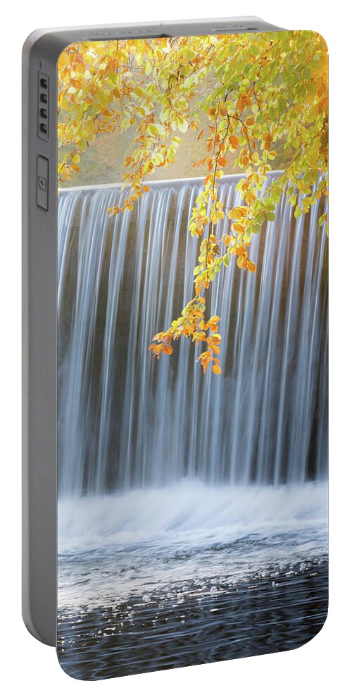 Landscape Portable Battery Charger featuring the photograph Silver and Gold by Anita Nicholson