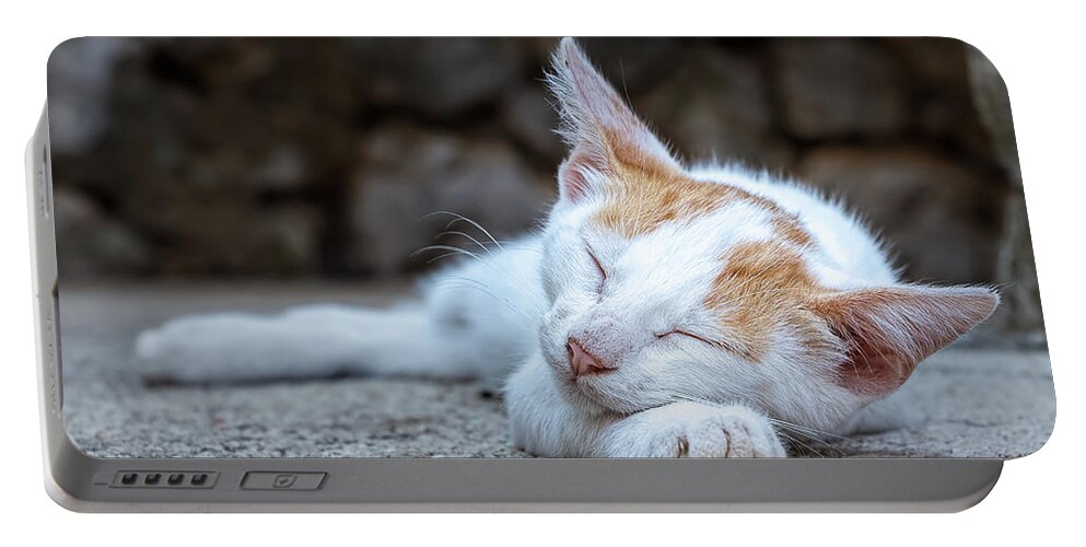 Animal Portable Battery Charger featuring the photograph Sleeping Kitty by Rick Deacon