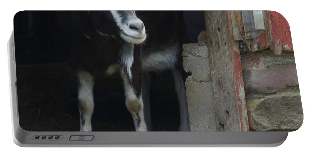 Animals Portable Battery Charger featuring the photograph Smiling Goat by Marty Klar