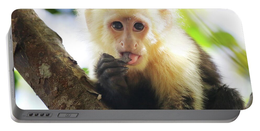 Monkey Portable Battery Charger featuring the photograph Snack Time by Brian Gustafson