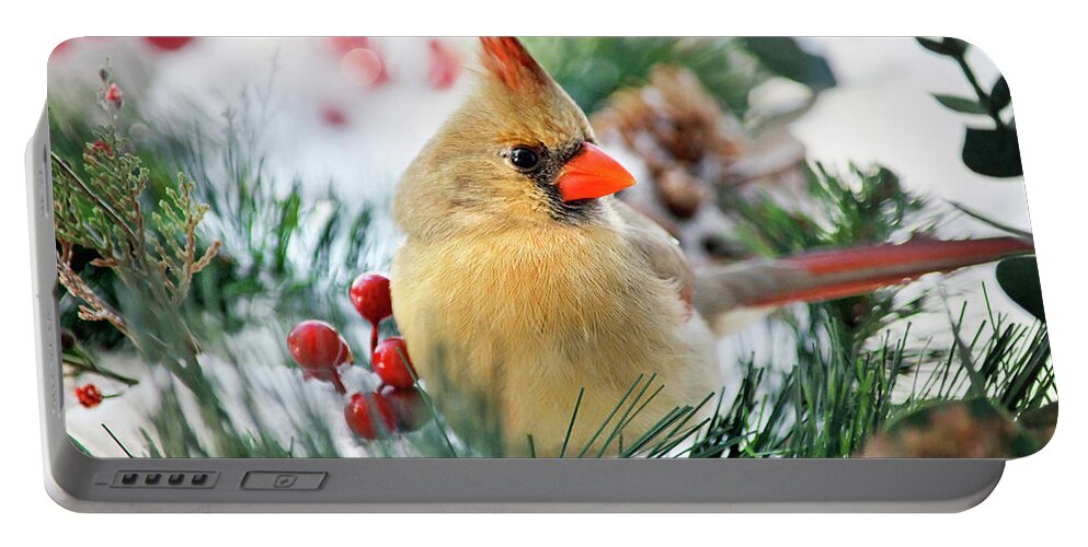 Cardinal Portable Battery Charger featuring the photograph Snow Cardinal by Christina Rollo