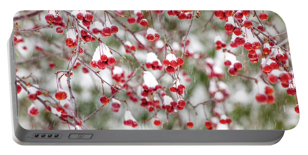 Winter Portable Battery Charger featuring the photograph Snow Covered Red Berries by Trevor Slauenwhite
