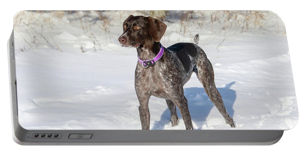 Macie Portable Battery Charger featuring the photograph Snow Gaze by Brook Burling