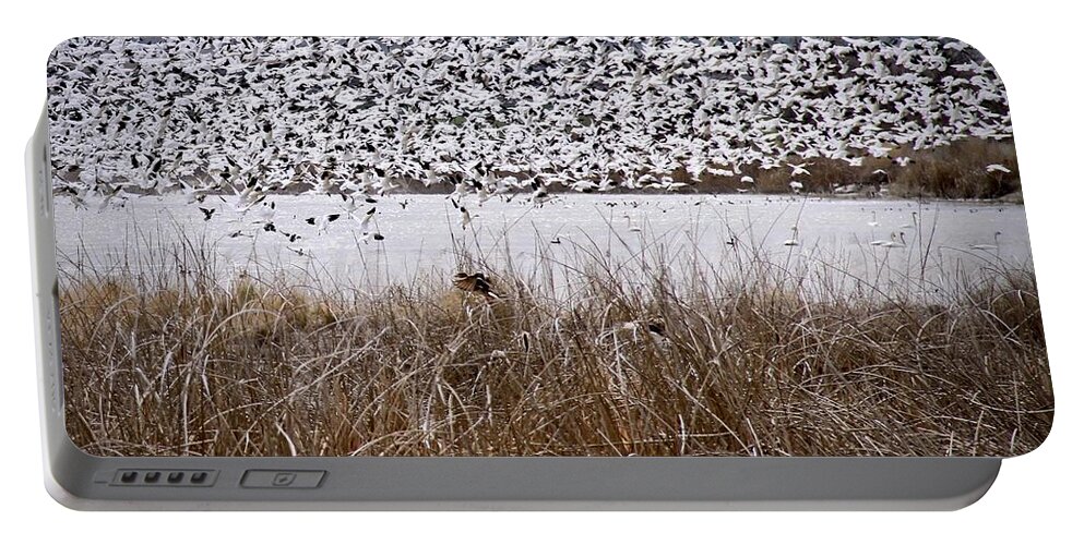 Snow Geese Portable Battery Charger featuring the photograph Snow Geese Migration by Ed Riche