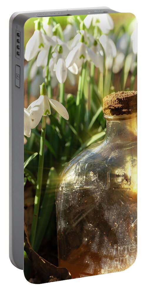 Snowdrops Portable Battery Charger featuring the photograph Snowdrop flowers and old glass jar with sunlight by Simon Bratt