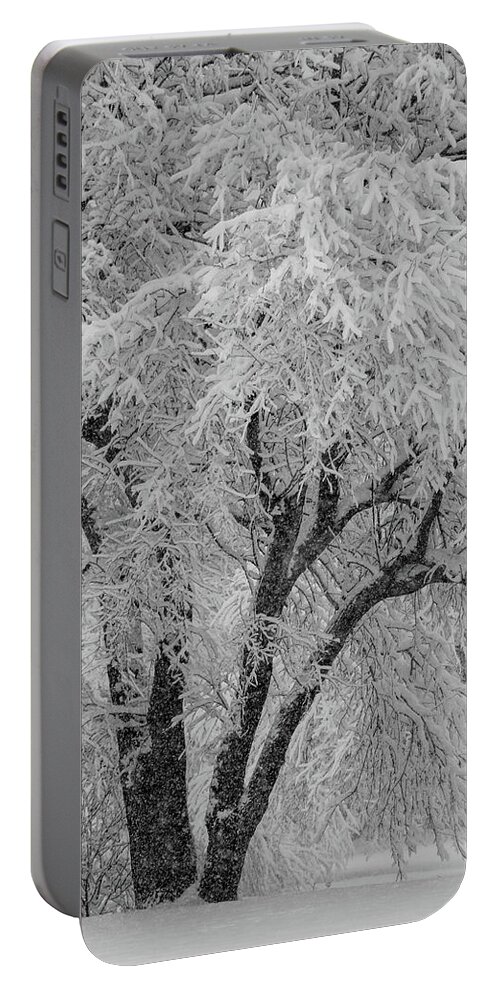 Snow Portable Battery Charger featuring the photograph Snowfall Scene by Mary Anne Delgado