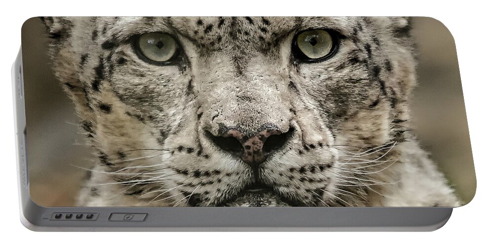 Snow Portable Battery Charger featuring the photograph SnowLeopardFacial by Chris Boulton