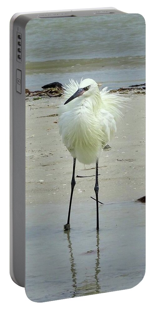 Birds Portable Battery Charger featuring the photograph Snowy Egret Ruffled by Karen Stansberry