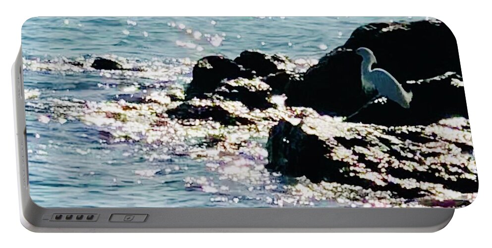 Sea Portable Battery Charger featuring the photograph Snowy Egret Watching for Dinner Captiva Island by Shelly Tschupp