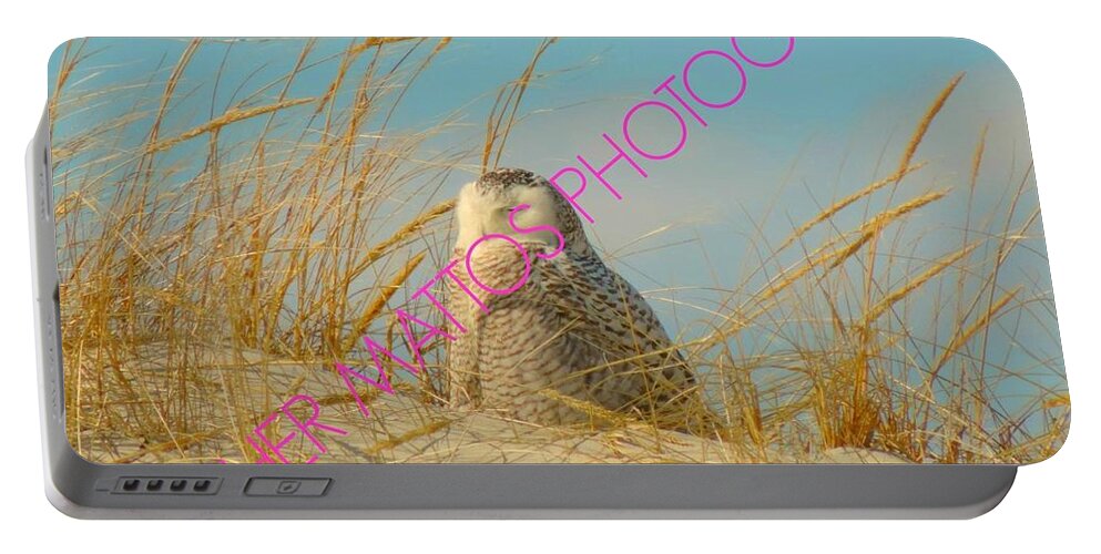 Snowy White Owl Portable Battery Charger featuring the photograph Snowy White Owl - Plymouth, MA by Heather M Photography