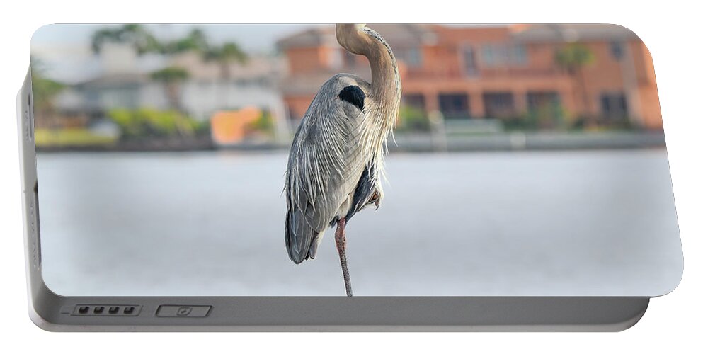 Heron Portable Battery Charger featuring the photograph Soaking up the Sun by Christopher Rice