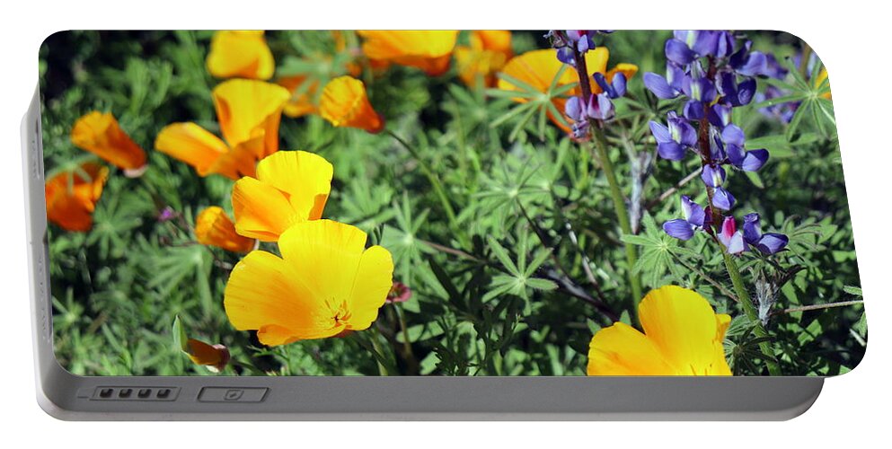 Wildflowers Portable Battery Charger featuring the photograph SoCal SuperBloom 7Photograph by Kimberly Walker