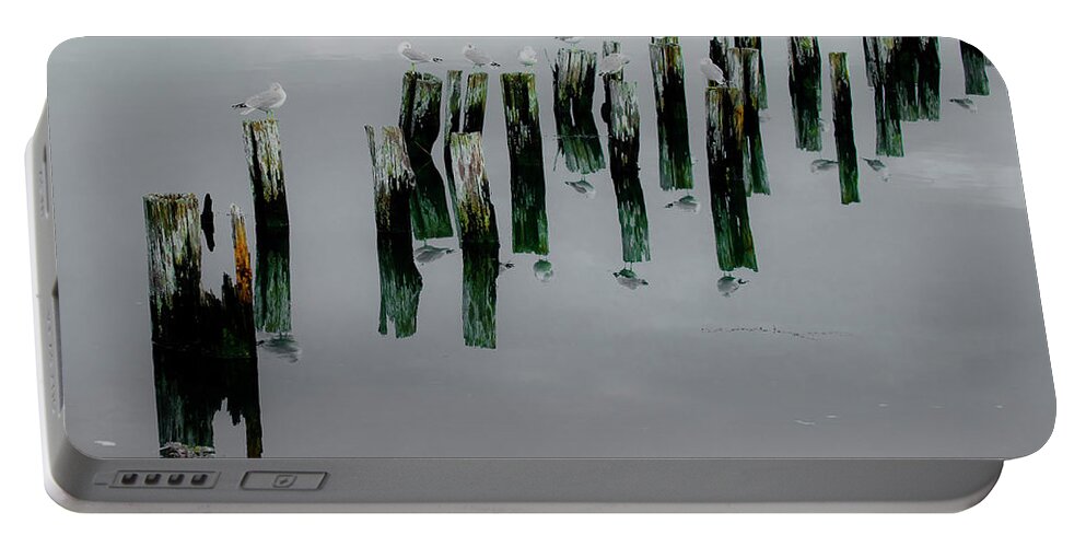 Seagulls Portable Battery Charger featuring the photograph Musical Pilings by Jeff Cooper